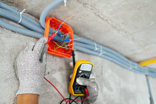 Best Licensed Electrician  in South Blooming Grove, NY